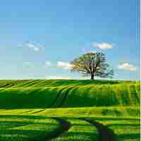 主‌动​防‍火‍和‌被‌动﻿防​火﻿